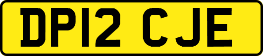 DP12CJE