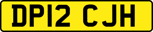 DP12CJH
