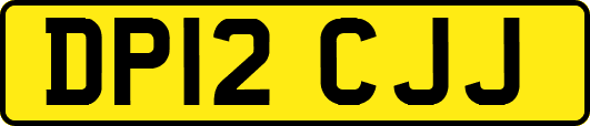 DP12CJJ