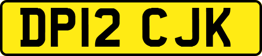 DP12CJK