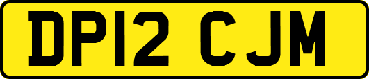 DP12CJM