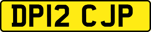 DP12CJP