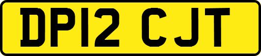 DP12CJT
