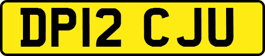 DP12CJU