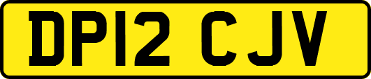 DP12CJV