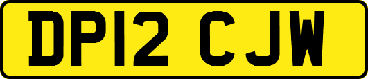 DP12CJW