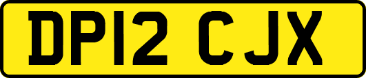 DP12CJX
