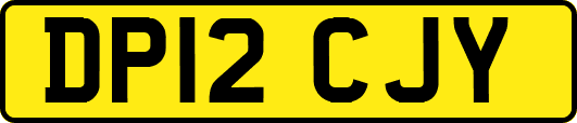 DP12CJY