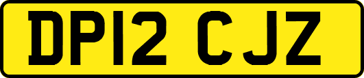 DP12CJZ