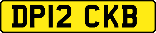 DP12CKB