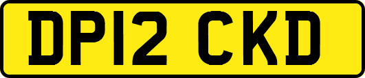 DP12CKD