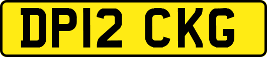DP12CKG