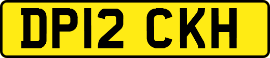 DP12CKH