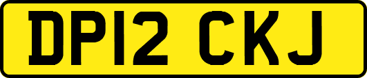 DP12CKJ