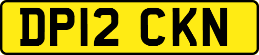 DP12CKN