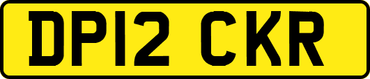 DP12CKR