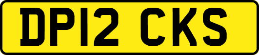 DP12CKS