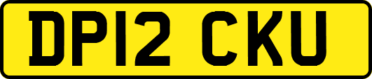 DP12CKU