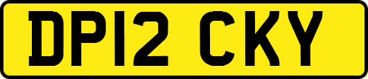 DP12CKY