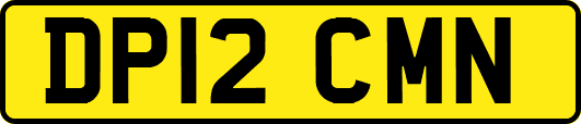 DP12CMN