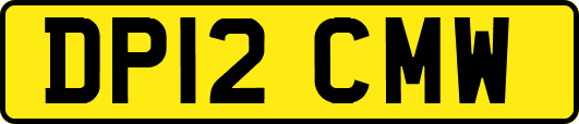 DP12CMW