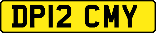 DP12CMY