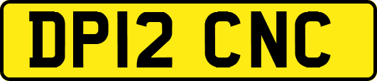 DP12CNC