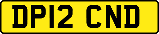 DP12CND