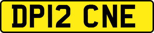DP12CNE