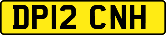 DP12CNH