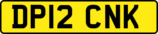 DP12CNK