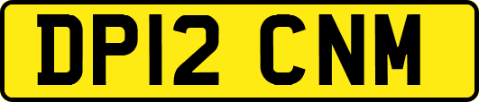 DP12CNM