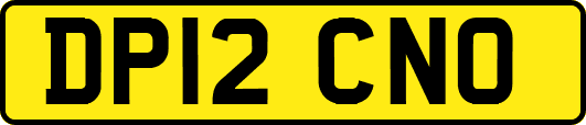 DP12CNO