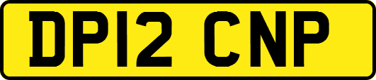 DP12CNP