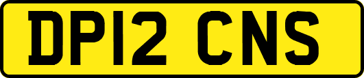 DP12CNS