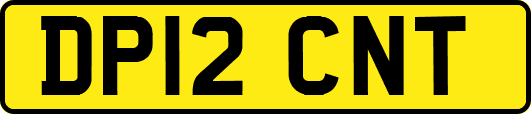 DP12CNT