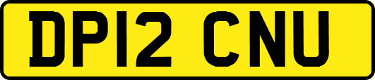 DP12CNU