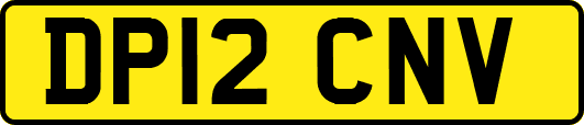 DP12CNV