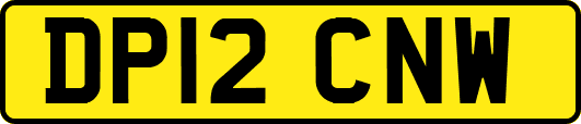 DP12CNW