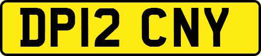 DP12CNY