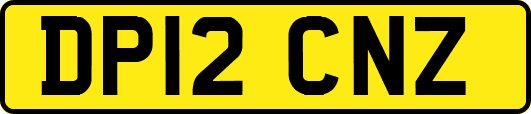DP12CNZ