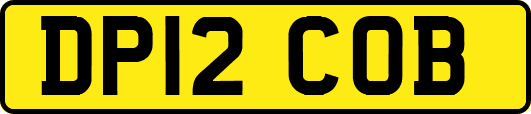 DP12COB