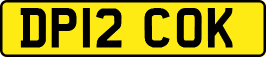 DP12COK