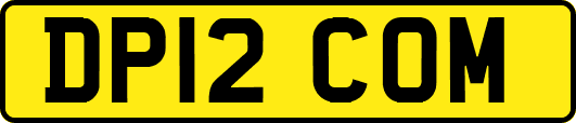 DP12COM