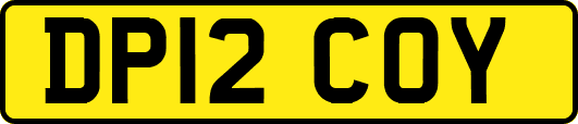 DP12COY
