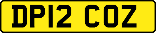 DP12COZ