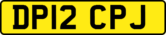 DP12CPJ