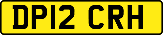 DP12CRH