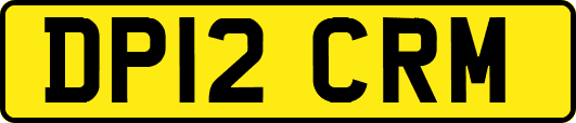 DP12CRM