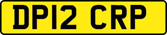 DP12CRP